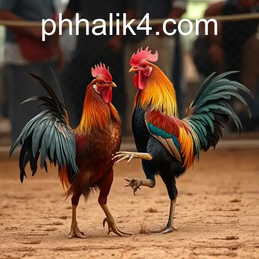 The Rise of Online Sabong: Exploring the Digital Arena of 'Phhalik'